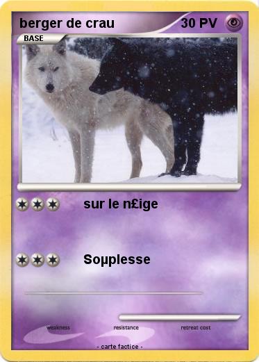 Pokemon berger de crau
