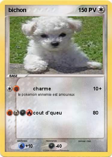 Pokemon bichon