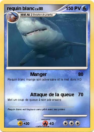 Pokemon requin blanc
