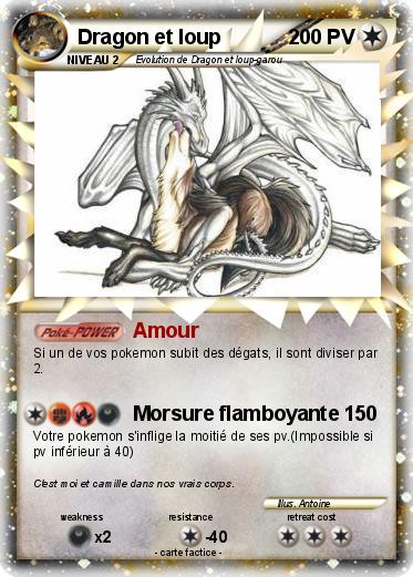 Pokemon Dragon et loup
