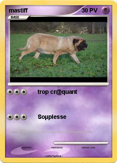 Pokemon mastiff