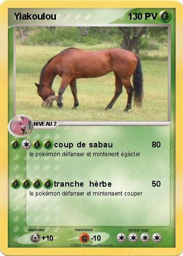 Pokemon Yiakoulou