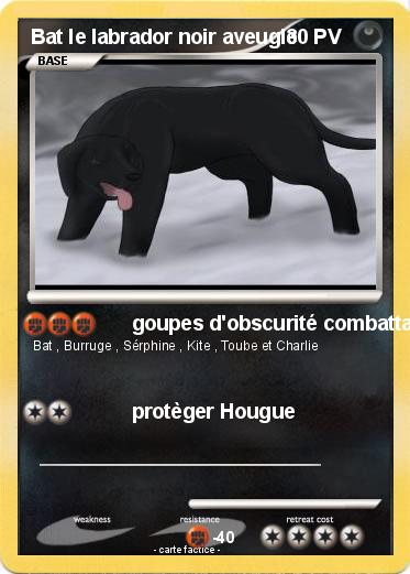 Pokemon Bat le labrador noir aveugle