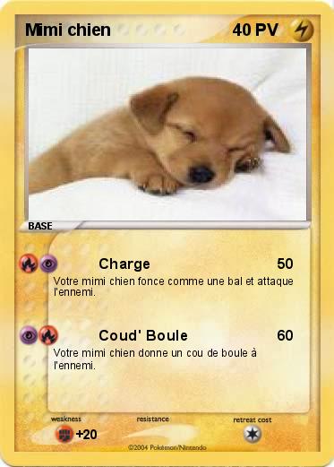 Pokemon Mimi chien