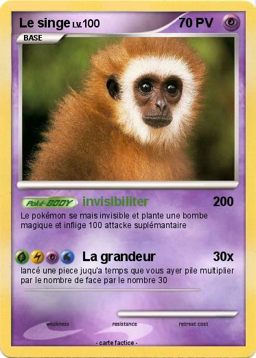 Pokemon Le singe