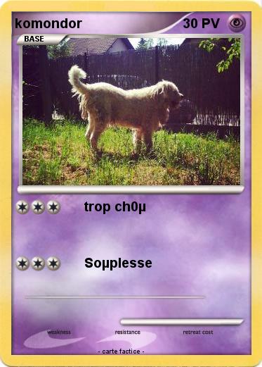 Pokemon komondor