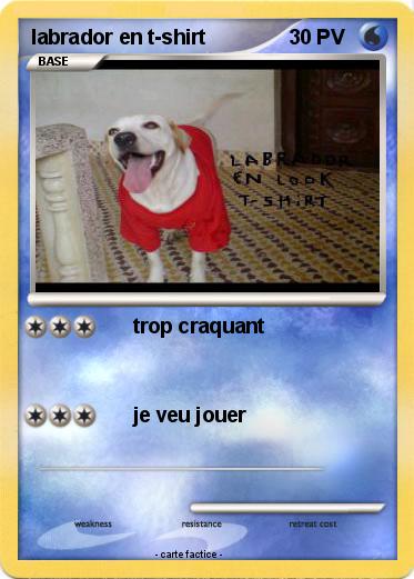 Pokemon labrador en t-shirt