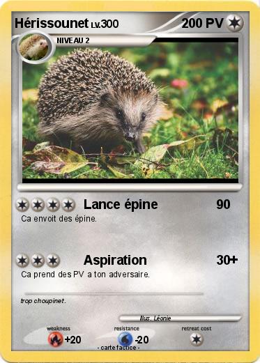 Pokemon Hérissounet