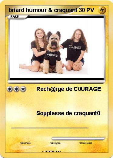 Pokemon briard humour & craquant