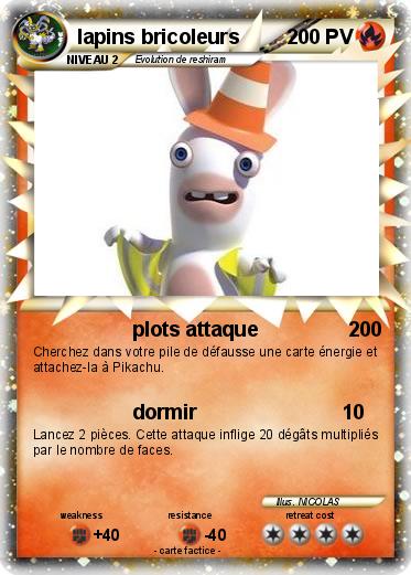 Pokemon lapins bricoleurs