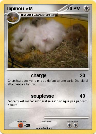 Pokemon lapinou