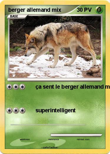Pokemon berger allemand mix
