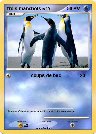 Pokemon trois manchots
