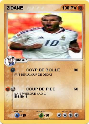 Pokemon ZIDANE