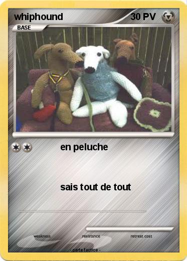 Pokemon whiphound