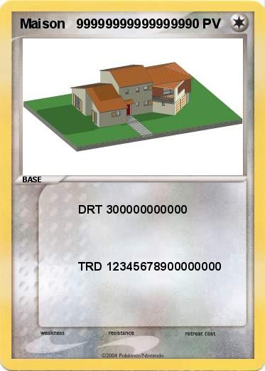 Pokemon Maison   999999999999999