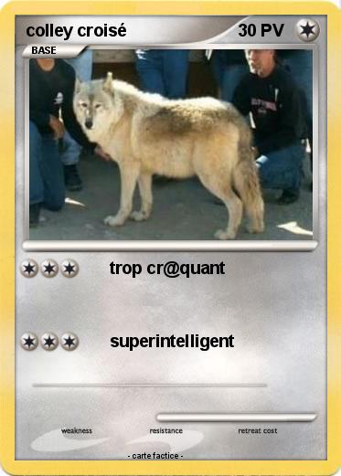 Pokemon colley croisé