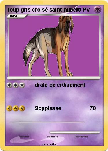 Pokemon loup gris croisé saint-hubert