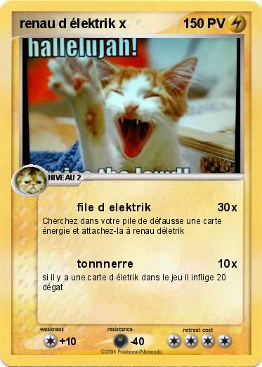 Pokemon renau d élektrik x