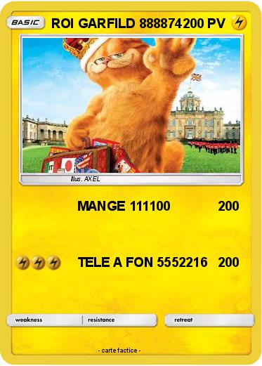 Pokemon ROI GARFILD 888874