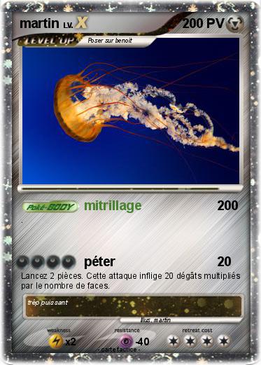 Pokemon martin
