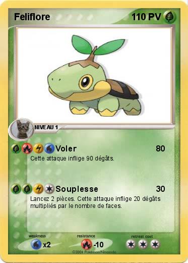 Pokemon Feliflore