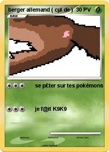 Pokemon berger allemand ( cµl de )