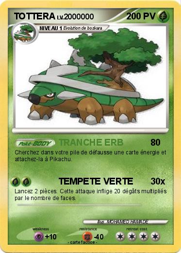 Pokemon TOTTERA