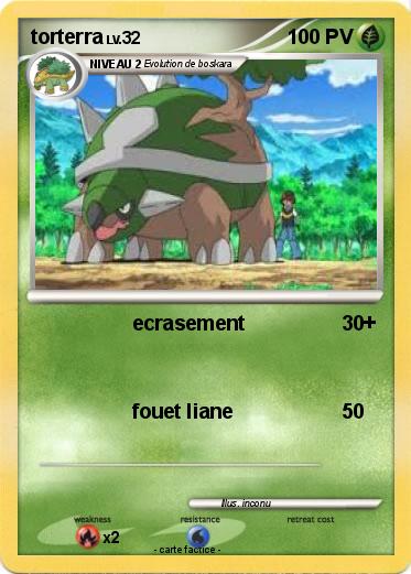 Pokemon torterra