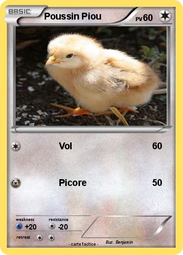 Pokemon Poussin Piou