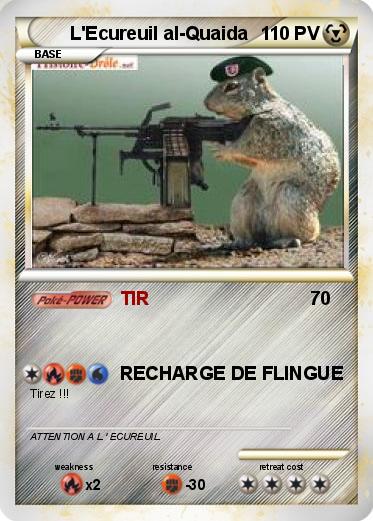 Pokemon L'Ecureuil al-Quaida