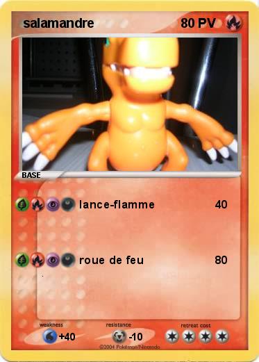Pokemon  salamandre