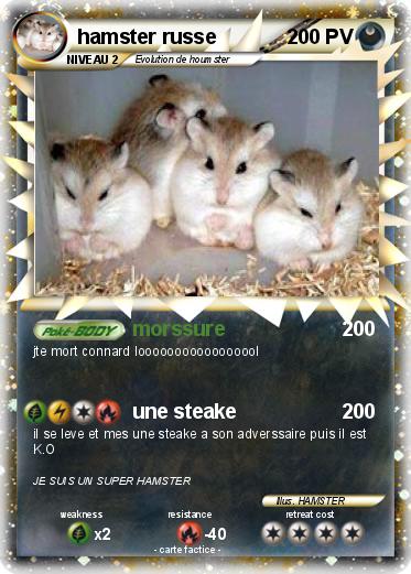 Pokemon hamster russe