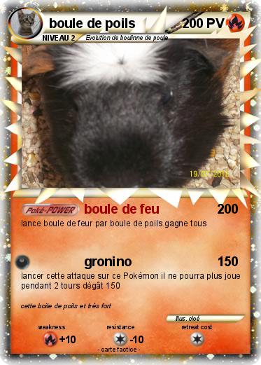 Pokemon boule de poils