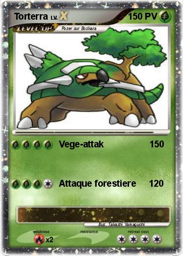 Pokemon Torterra