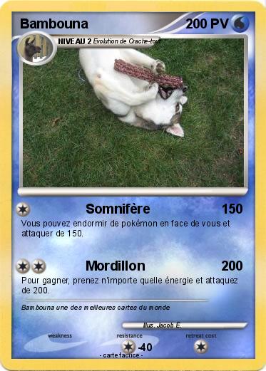 Pokemon Bambouna