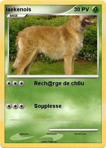 Pokemon laekenois
