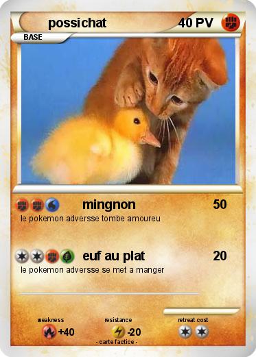 Pokemon possichat