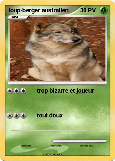 Pokemon loup-berger australien