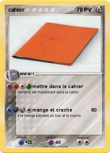 Pokemon cahier