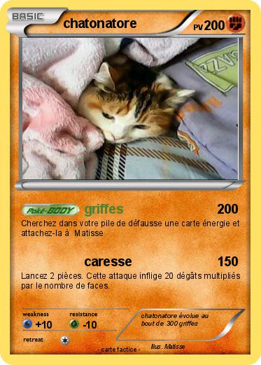 Pokemon chatonatore
