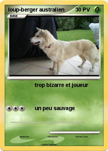 Pokemon loup-berger australien