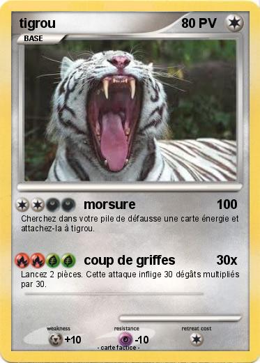 Pokemon tigrou