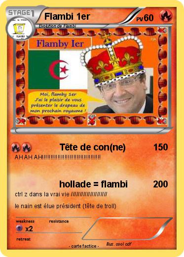 Pokemon Flambi 1er