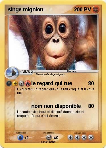 Pokemon singe mignion