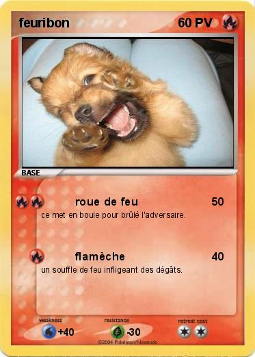 Pokemon feuribon