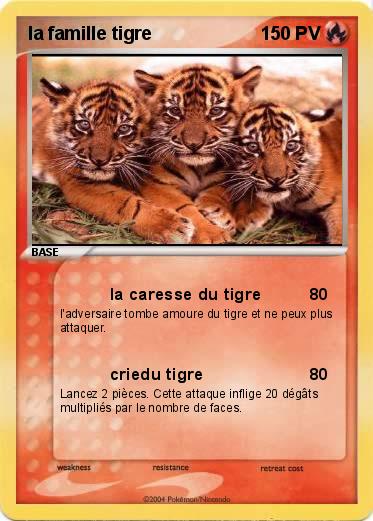 Pokemon la famille tigre