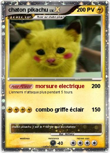 Pokemon chaton pikachu