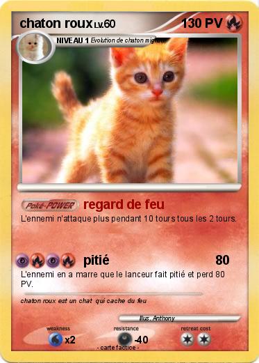 Pokemon chaton roux