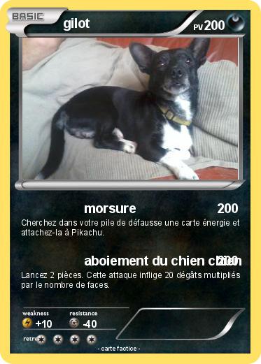 Pokemon gilot